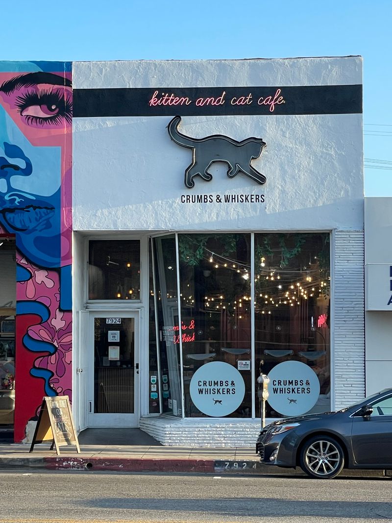 First Cat Café In Los Angeles