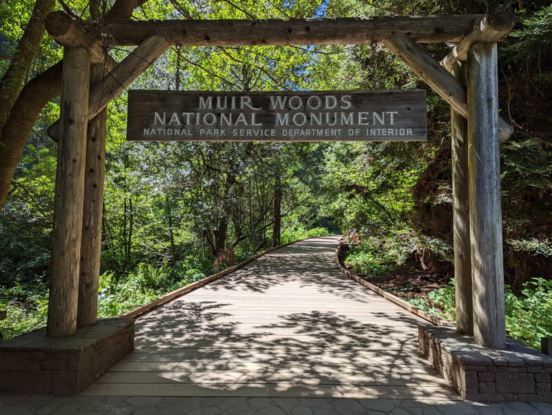 Starting Point And Trail Layout