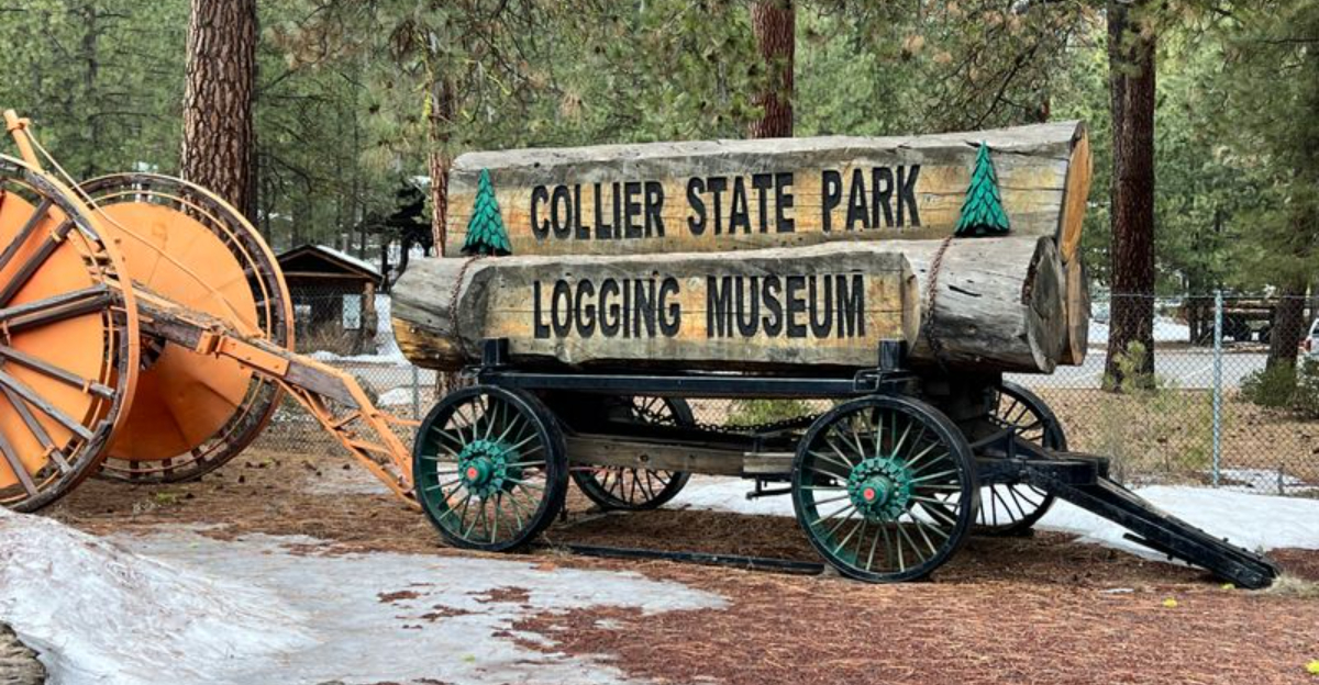 This Forgotten Oregon Logging Village Looks Frozen In The 1800s - Decor Hint