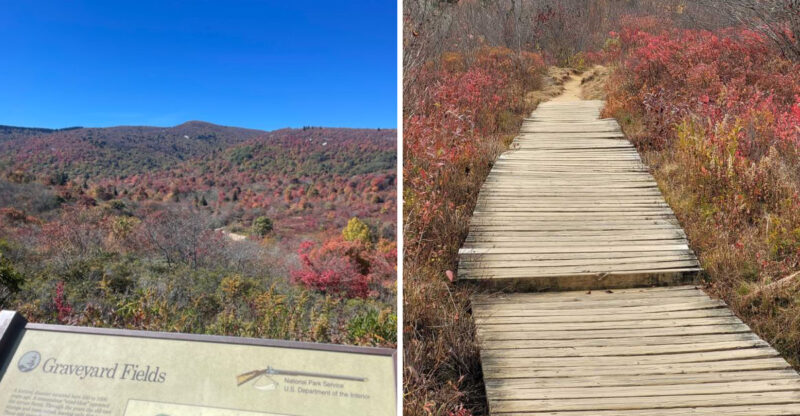 This North Carolina Forest Walk Is Both Beautiful And Haunting