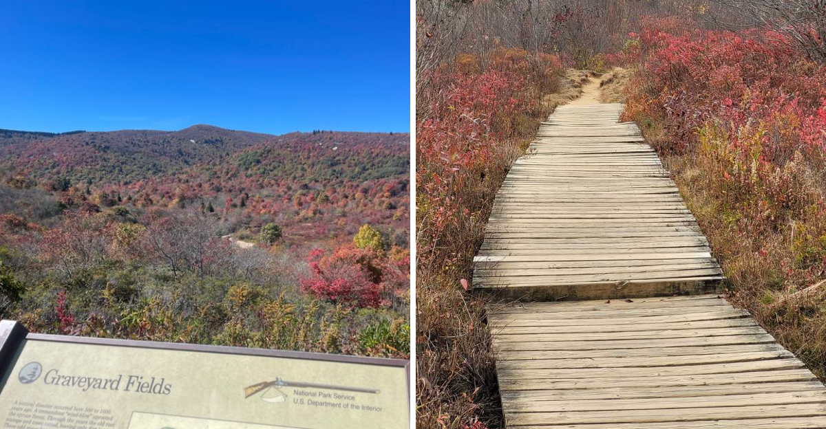 This North Carolina Forest Walk Is Both Beautiful And Haunting - Decor Hint