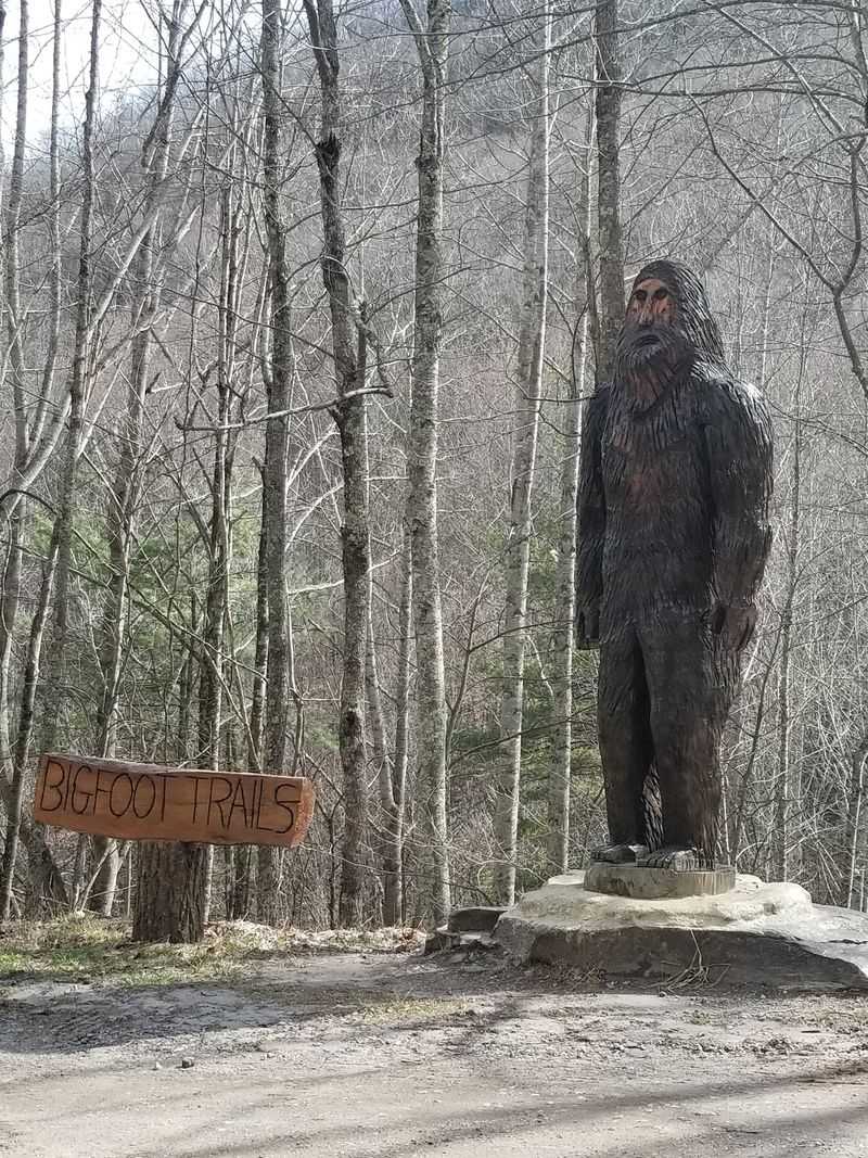 This North Carolina Ghost Town Is A Chilling Step Back In Time - Decor Hint Cherokee Roots Run Deep