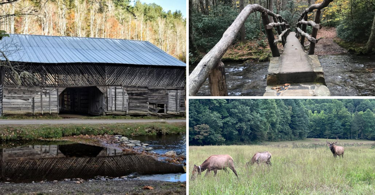 This North Carolina Ghost Town Is A Chilling Step Back In Time - Decor Hint