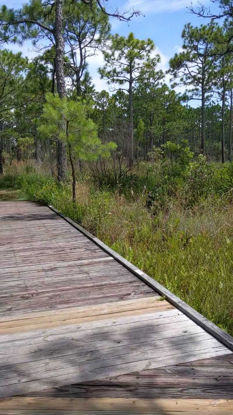 Nature's Little Predators Await Discovery