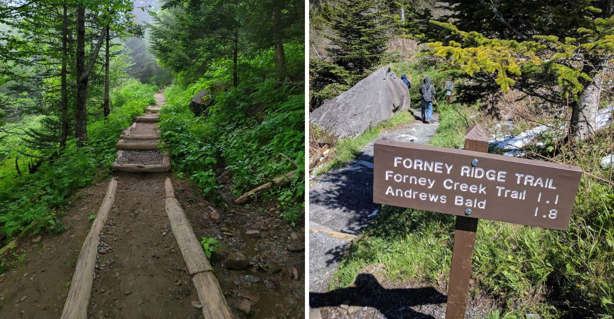 This North Carolina Trail Becomes Pure Magic In Winter - Decor Hint