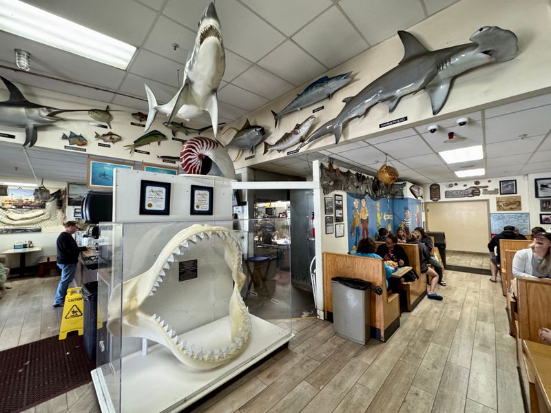 Family-Owned For Over Half A Century