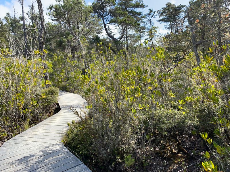 This Tiny California State Park Feels Worlds Away From Everyday Stress - Decor Hint Ecological Staircase Trail Takes You Through Time