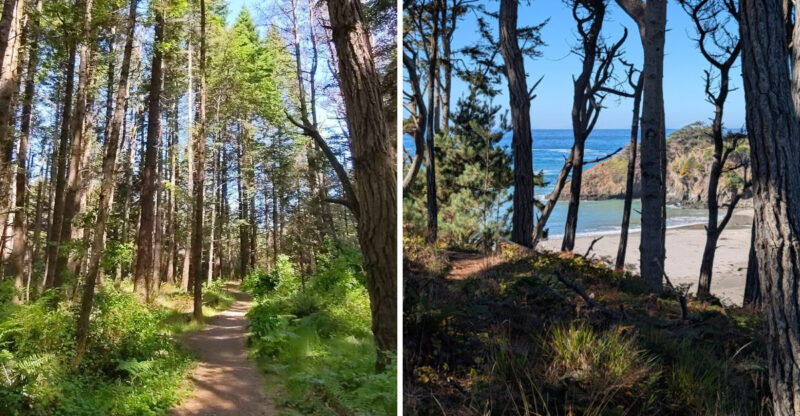 This Tiny California State Park Feels Worlds Away From Everyday Stress