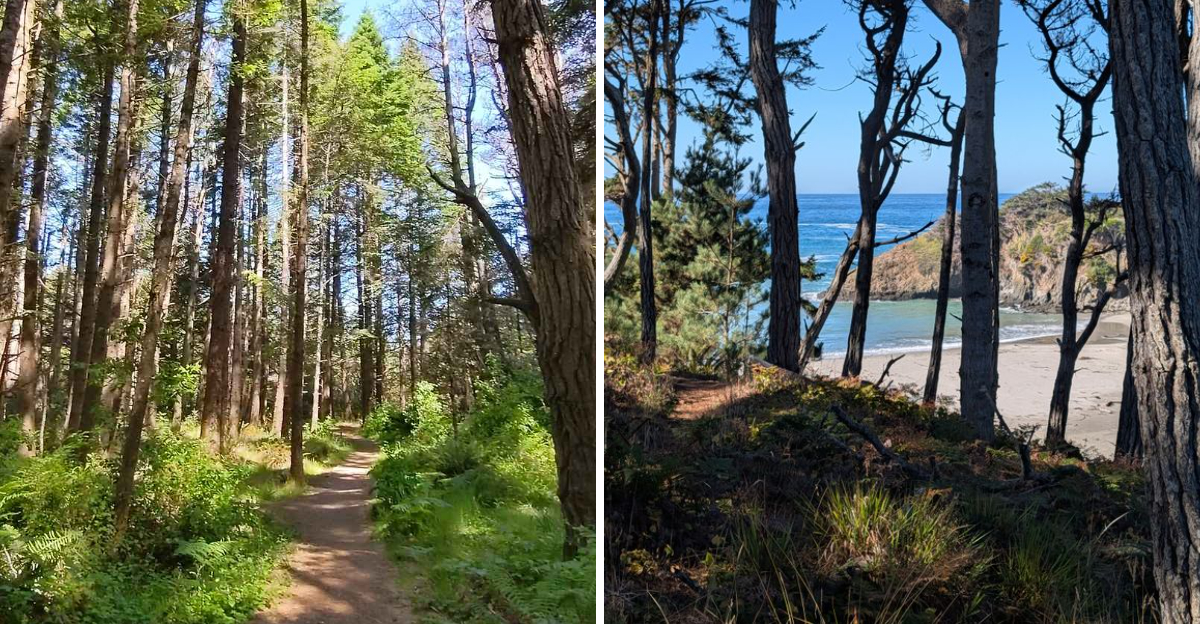 This Tiny California State Park Feels Worlds Away From Everyday Stress - Decor Hint