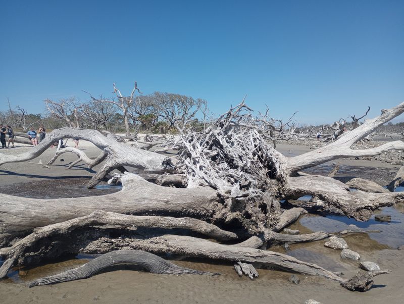 This Winter Hunt on Jekyll Island Is Turning Georgia Visitors Into Treasure Seekers - Decor Hint The Winter Beach Hunt Started as a Local Tradition