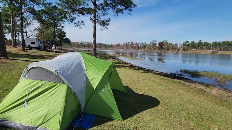 My Go To Park In Georgia For Wildlife Viewing Is Seminole State Park And This Is 15 Reasons Why It's So Special - Decor Hint Exceptional Wildlife Photography Opportunities