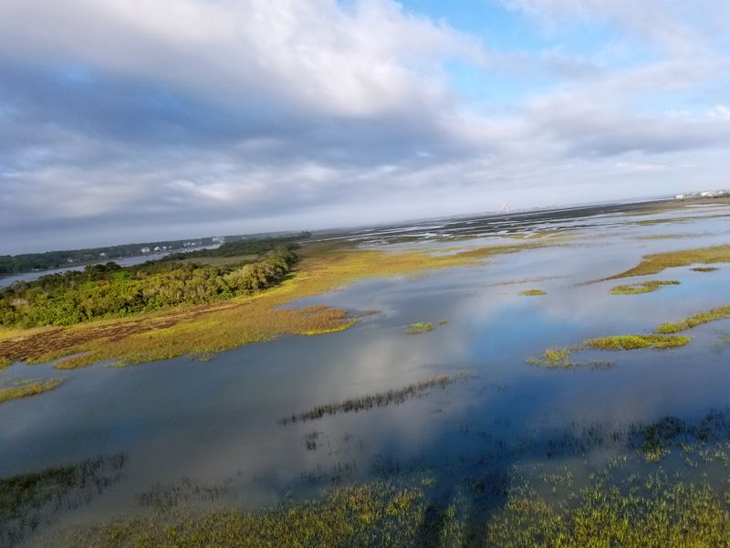 This Hidden North Carolina Beach Town Is The Coast's Best-Kept Secret - Decor Hint Bird Island Coastal Reserve Adventure
