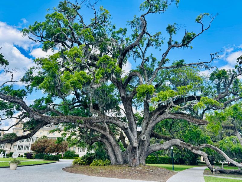 This Winter Hunt on Jekyll Island Is Turning Georgia Visitors Into Treasure Seekers - Decor Hint Kids Develop Problem-Solving Skills While Playing