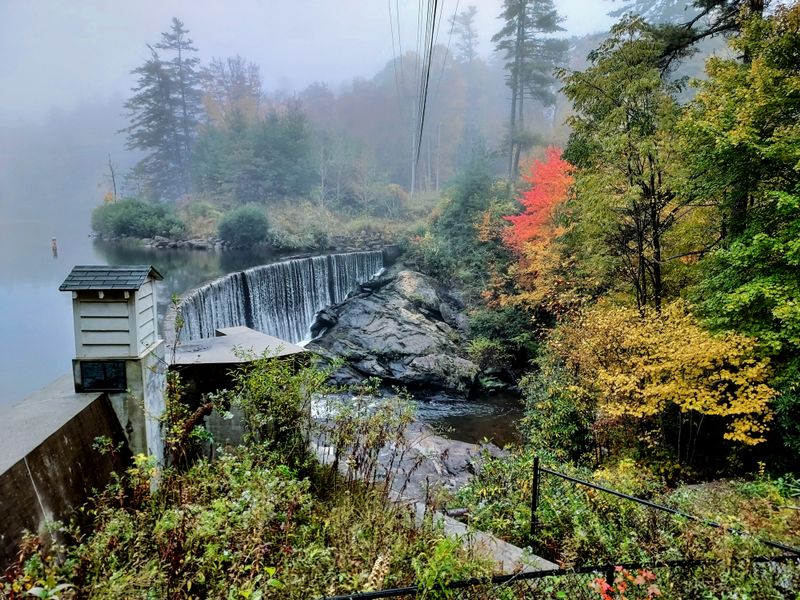 Discover North Carolina's Hidden Waterfall Paradise - Decor Hint Wildlife Watching Opportunities