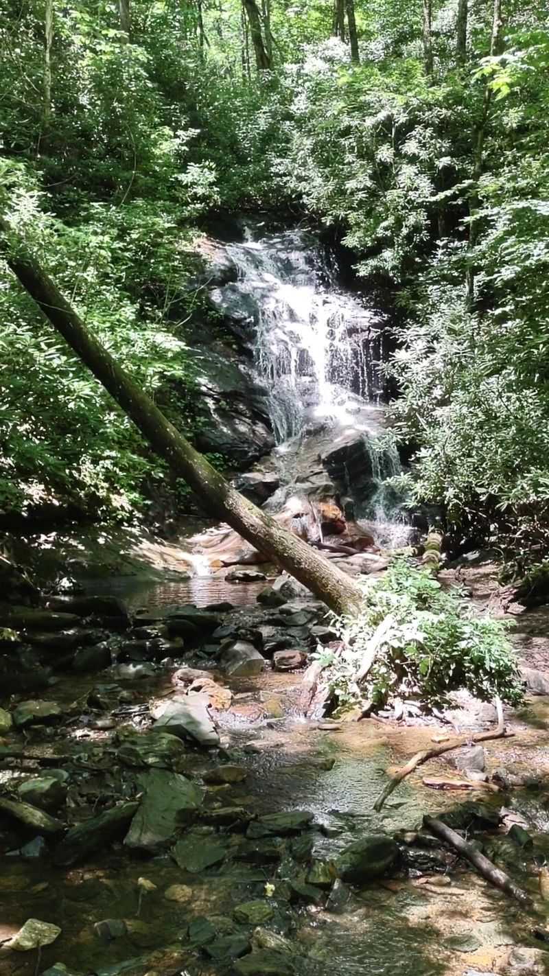 These North Carolina Spots Offer Bucket-List Views Anyone Can Hike To - Decor Hint Log Hollow Falls, Transylvania County