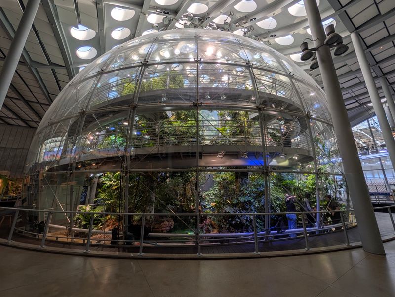 Explore The California Academy Of Sciences