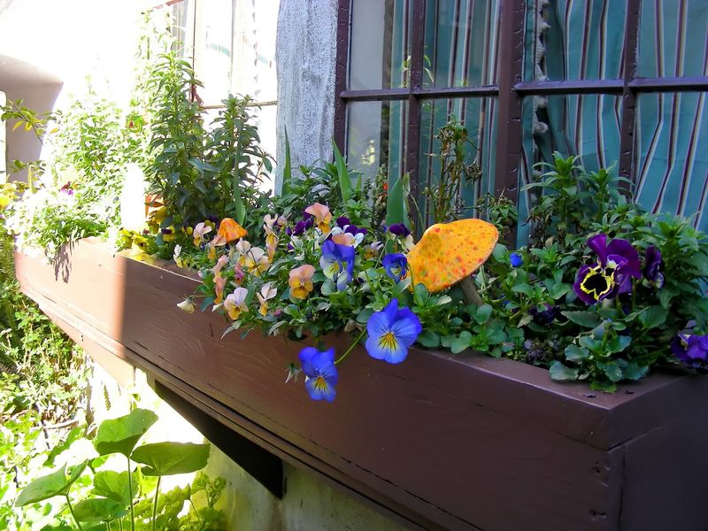 Recognition As A Berkeley Landmark