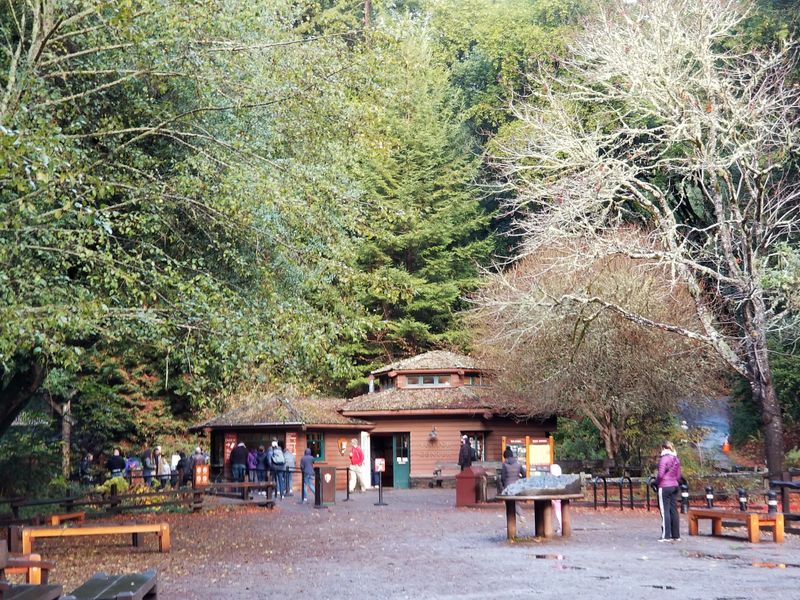 Visitor Center Resources And Educational Opportunities