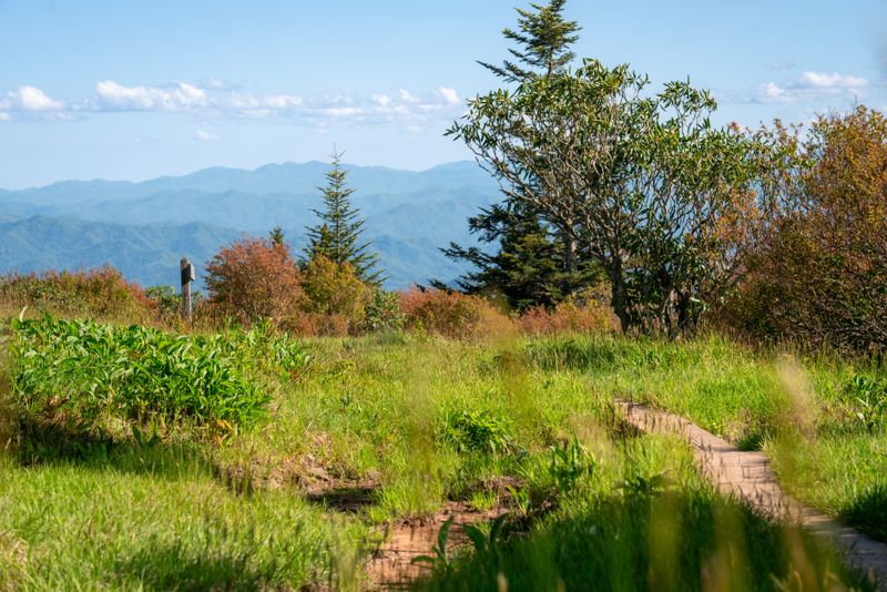 Solitude And Reduced Crowds