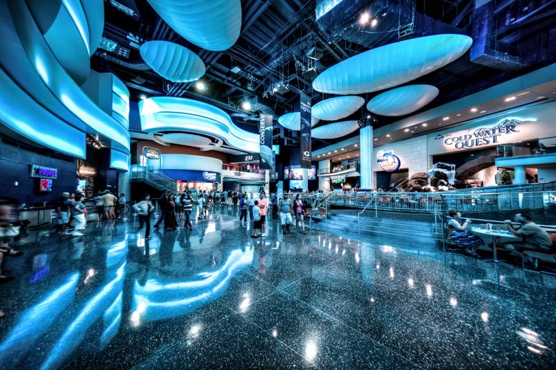 15 Reasons To Spend Your Next Weekend At The Georgia Aquarium - Decor Hint 4D Theater Experience