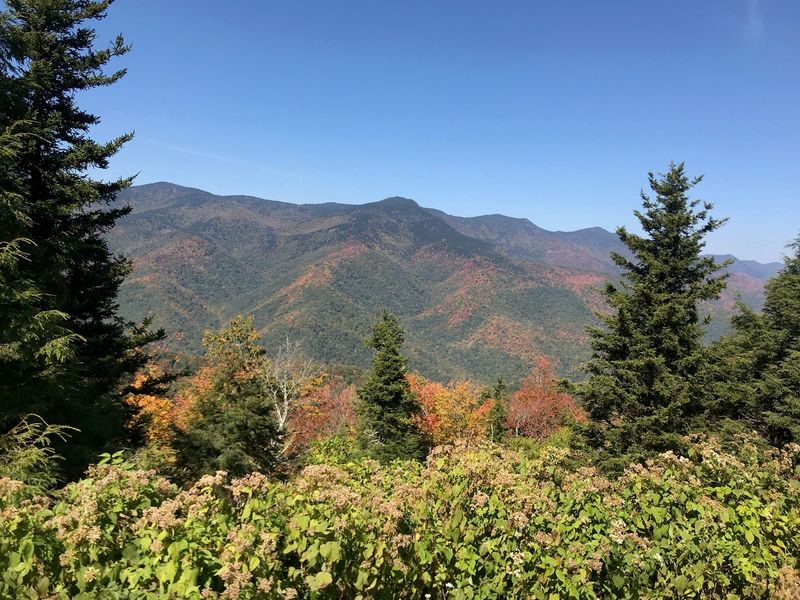 This Mountain Drive In North Carolina Feels Like A Roller Coaster With Views - Decor Hint Hooper Bald: Meadow In The Clouds