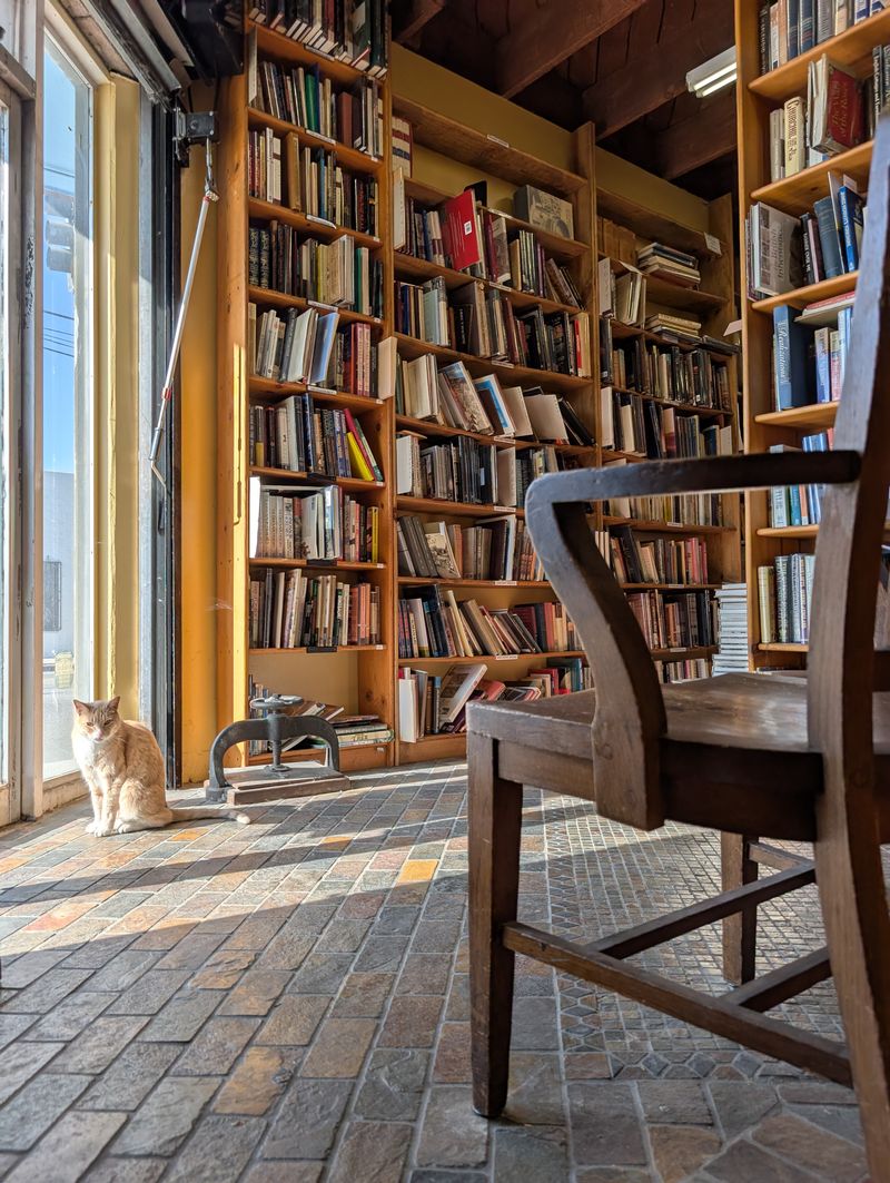 Community Support After The 2022 Fire