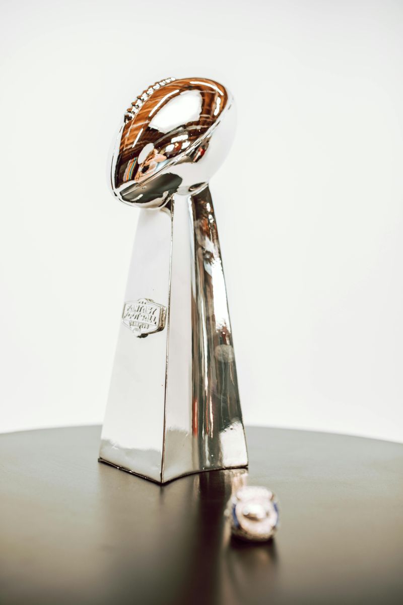 Must-Know Georgia Collectibles Gaining Popularity And Big Bucks - Decor Hint Georgia Bulldogs Championship Memorabilia