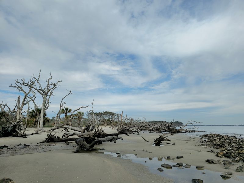 Jekyll Island