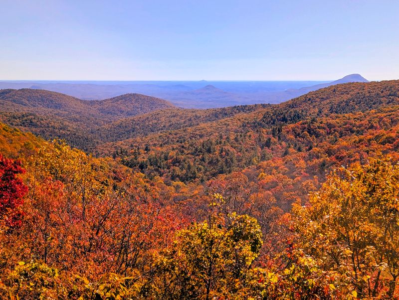 Chattahoochee National Forest