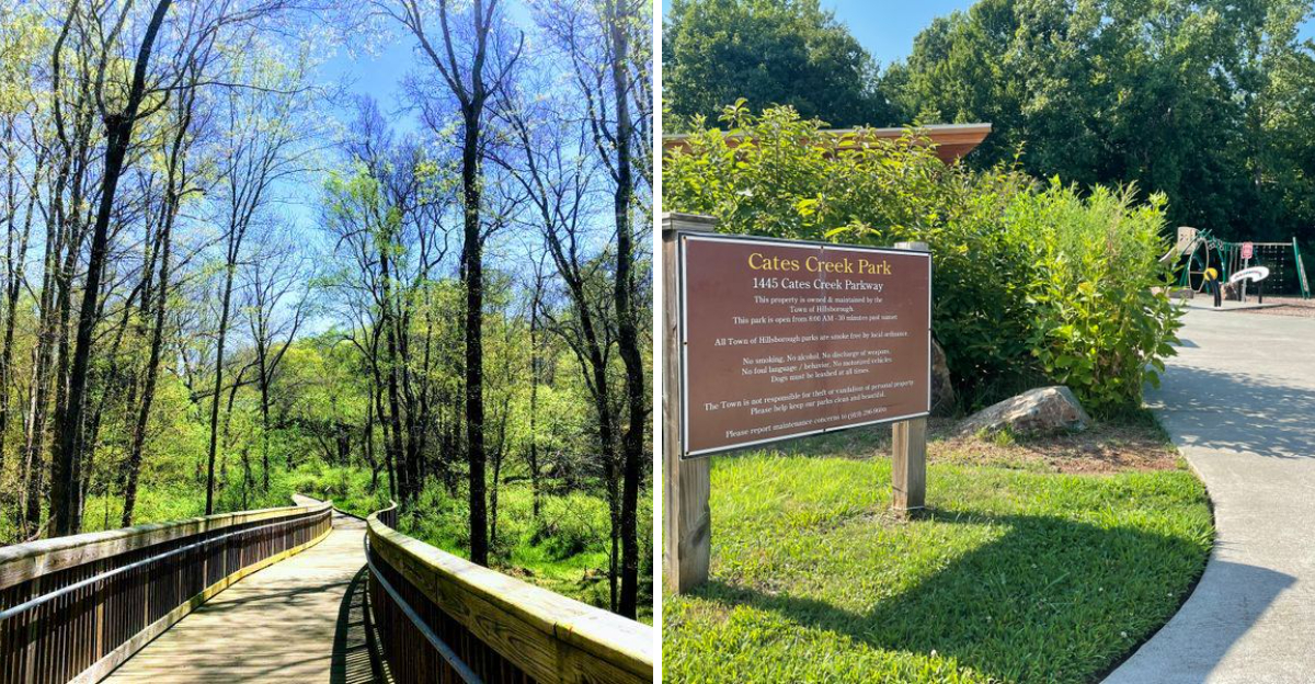 Uncover The Charm Of Hillsborough On A North Carolina Day Trip - Decor Hint