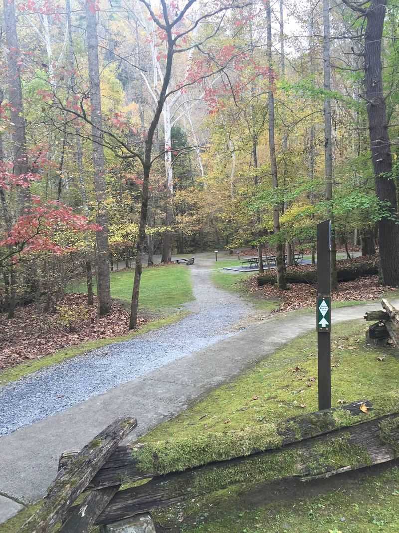 This Mountain Drive In North Carolina Feels Like A Roller Coaster With Views - Decor Hint Benton MacKaye Trail: Footpath Through Wilderness