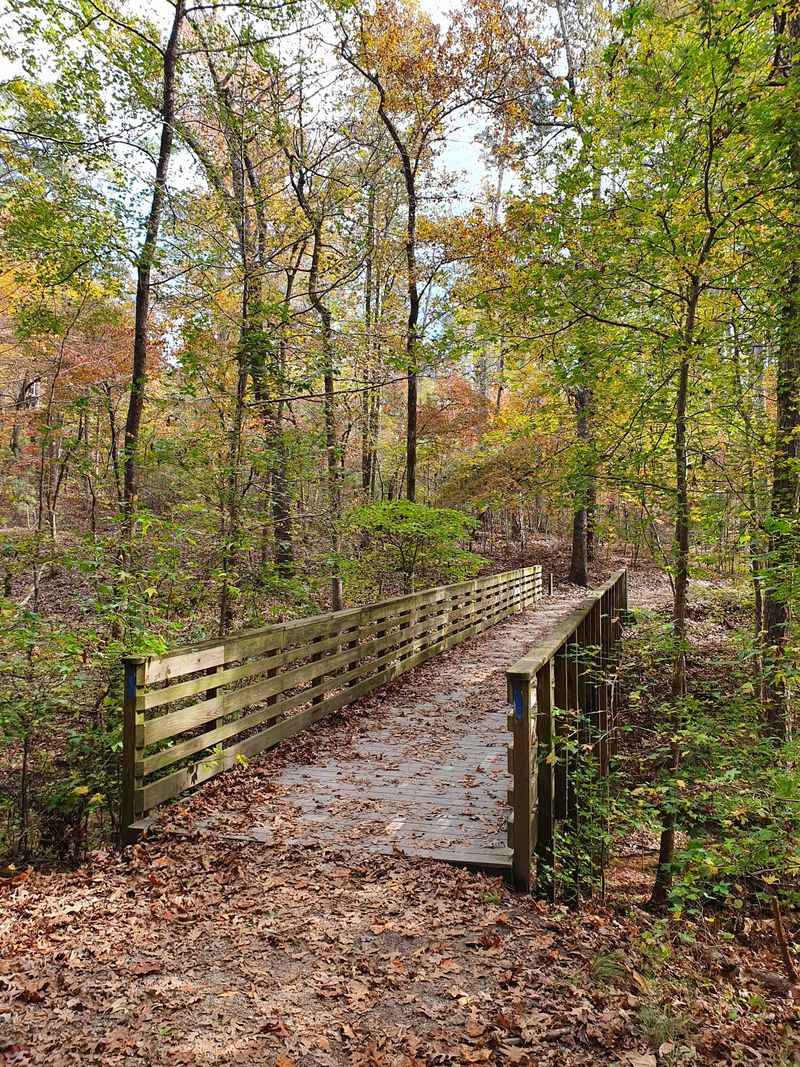 Georgia State Parks That Deliver National Park Scenery Without The Chaos - Decor Hint Red Top Mountain State Park