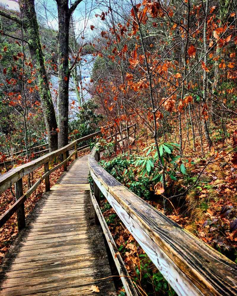 Loop Trail Provides Perfect Overview