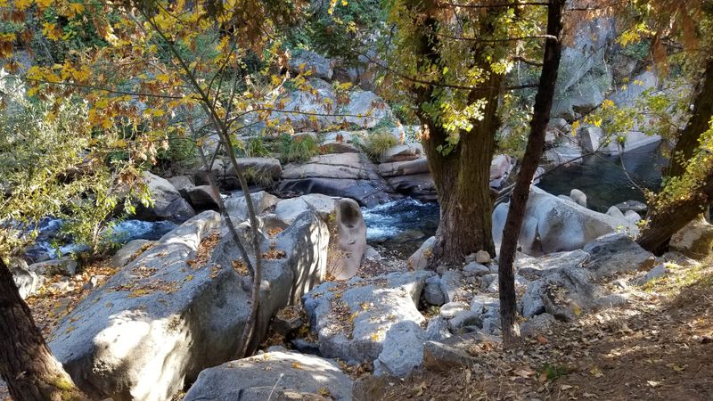This California City Blends Gold Rush History With Some Of The State's Most Fun Tourist Attractions - Decor Hint Gold Panning Lets Visitors Try Their Luck