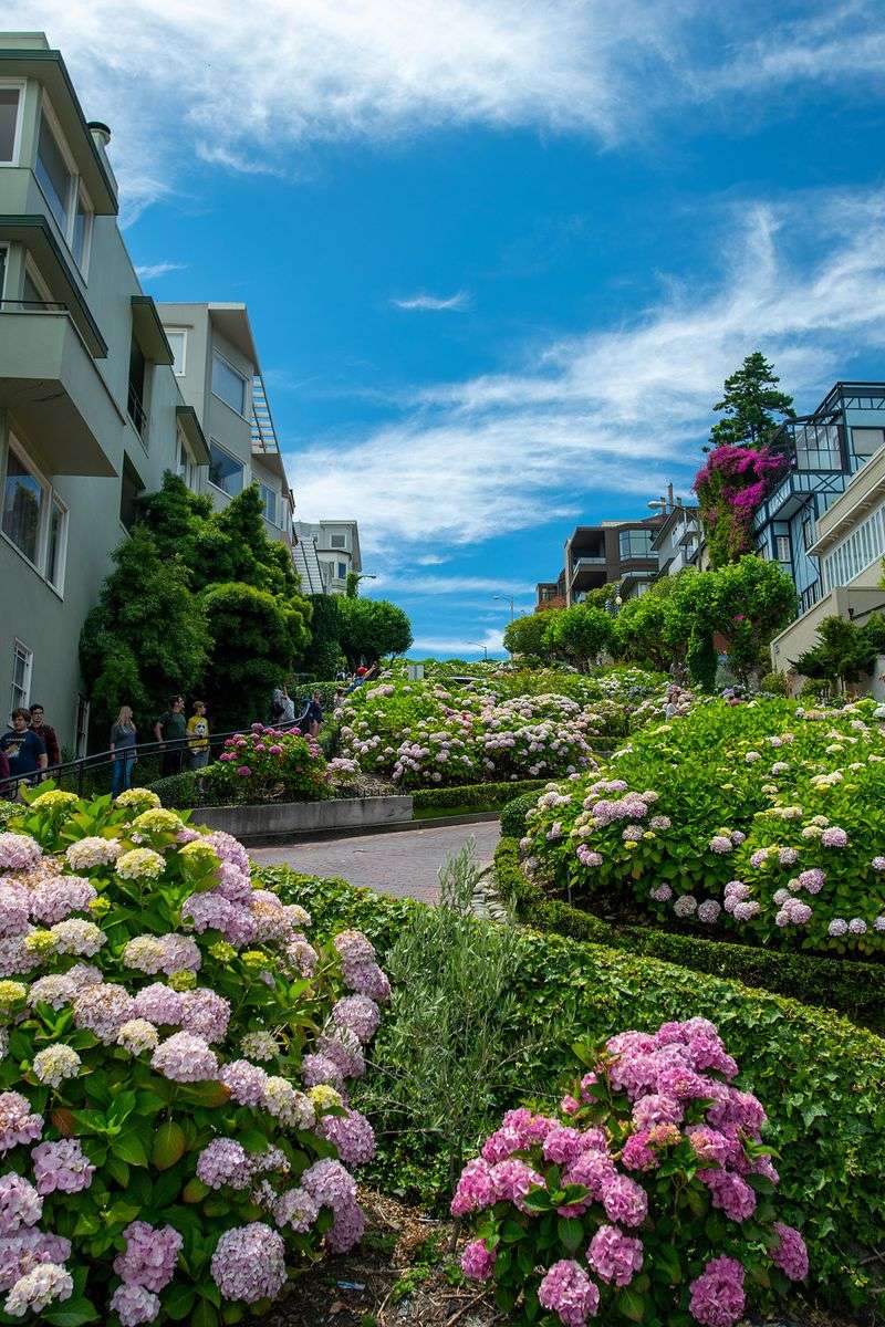 Walk Lombard Street