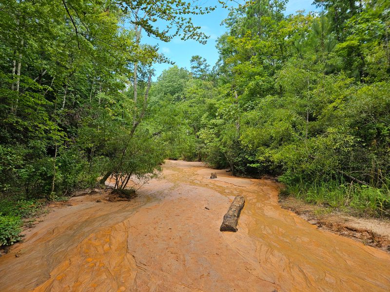 Providence Canyon Rim Trail