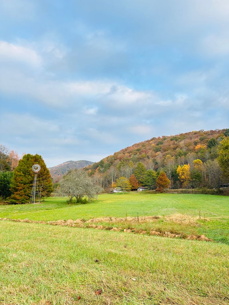 Seasonal Foliage Displays