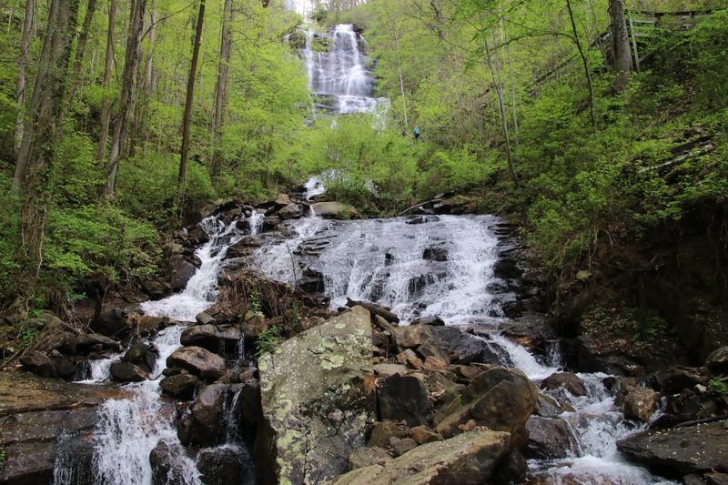 Amicalola Falls Spring Source