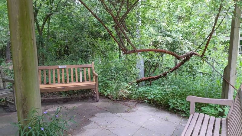 Free Admission Makes Natural Beauty Accessible To Everyone