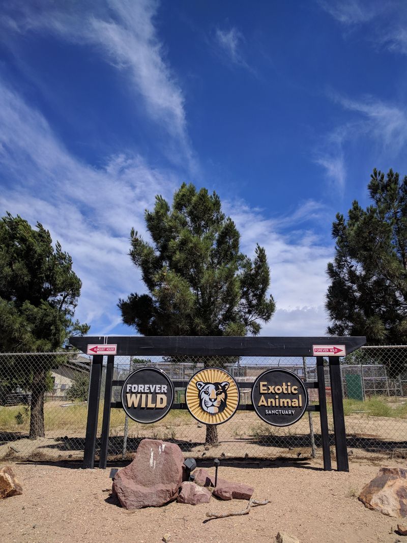 This California Sanctuary Is A One-Of-A-Kind Place To Get Up Close With Rescued Exotic Animals - Decor Hint Desert Location Shapes The Experience