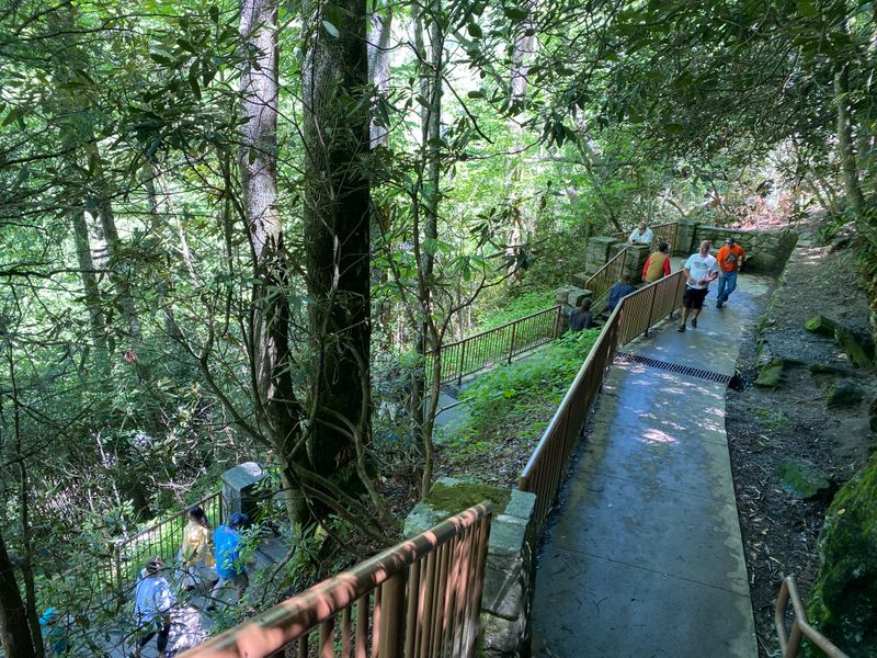 Easy Access Trail Perfect For All Ages