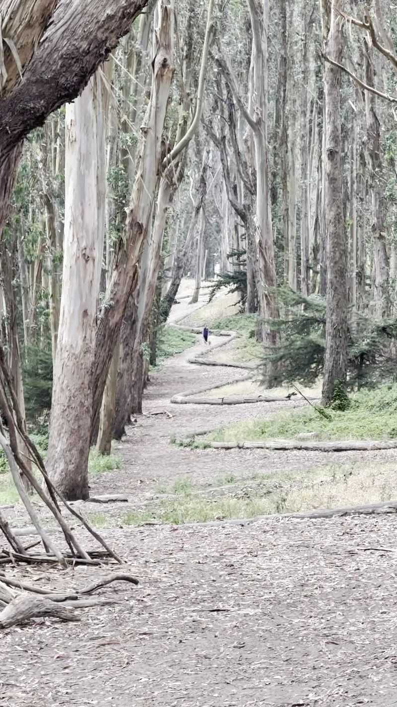 Explore The Presidio