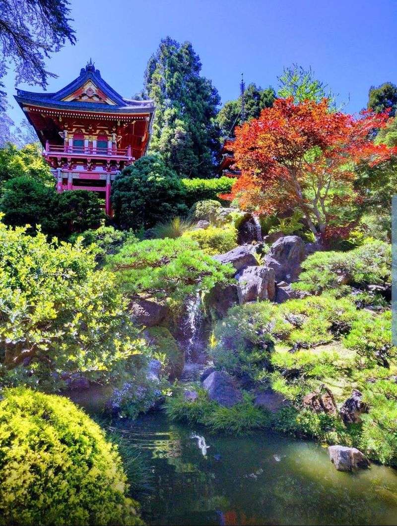 Explore Golden Gate Park