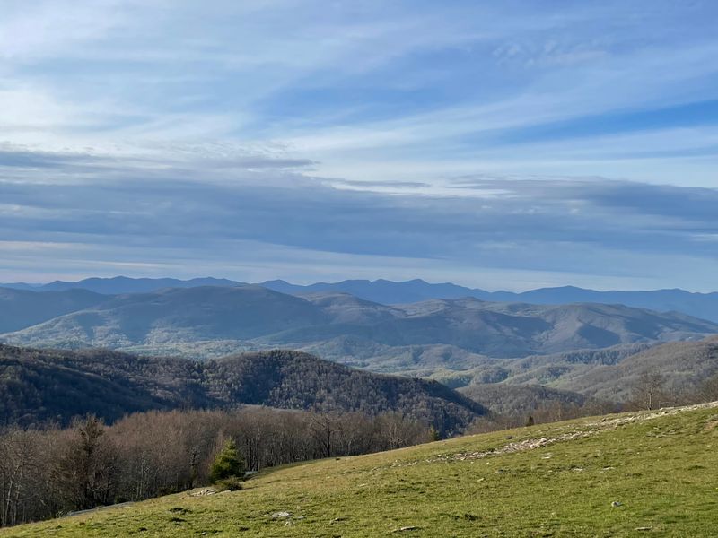 These North Carolina Spots Offer Bucket-List Views Anyone Can Hike To - Decor Hint Bearwallow Mountain Fire Tower, Gerton