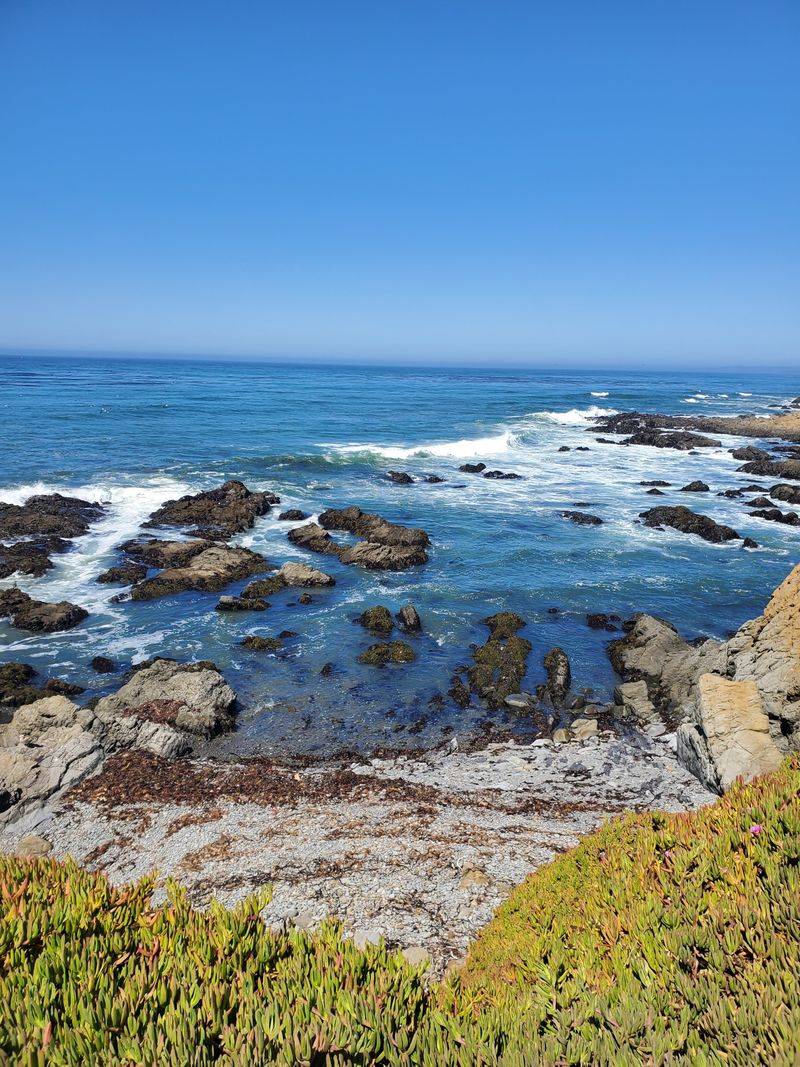 Why Restoration Efforts Aren't A Permanent Fix