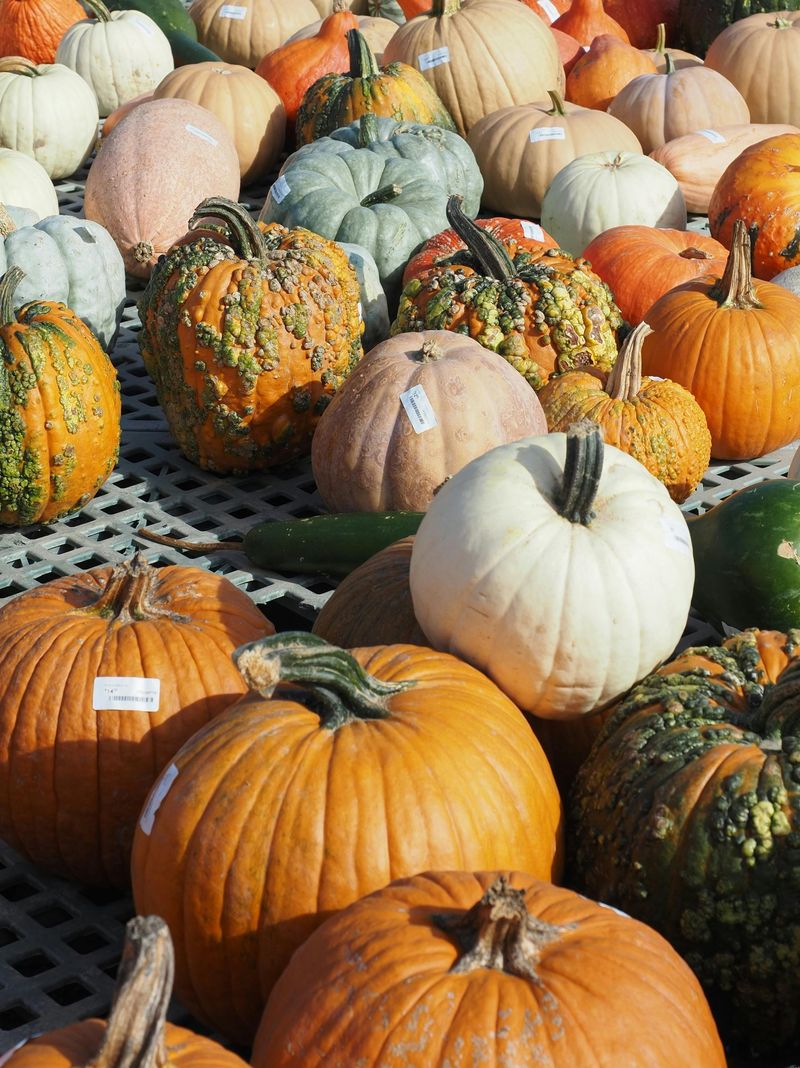 Where To Start And How To Truly Enjoy A Keystone State Market