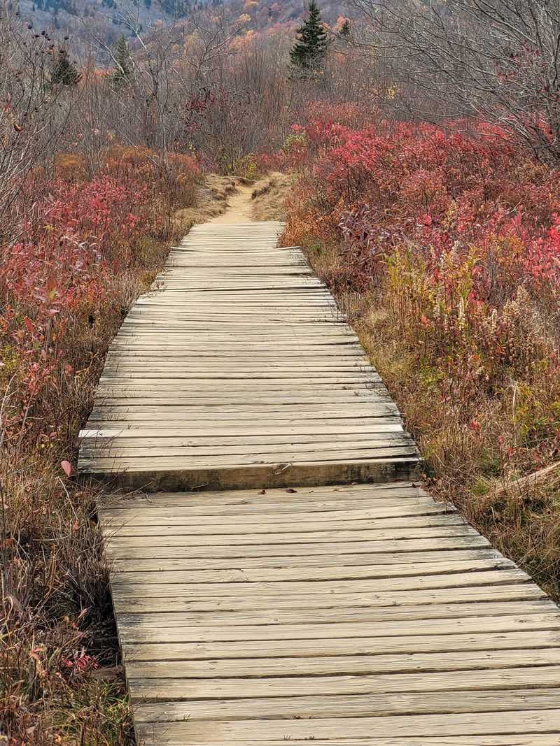 The Haunting Name Has Logging Roots