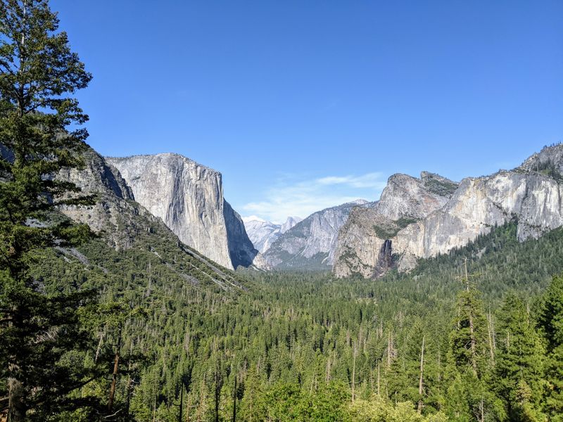 Yosemite National Park: Why It Ranked Highest in California