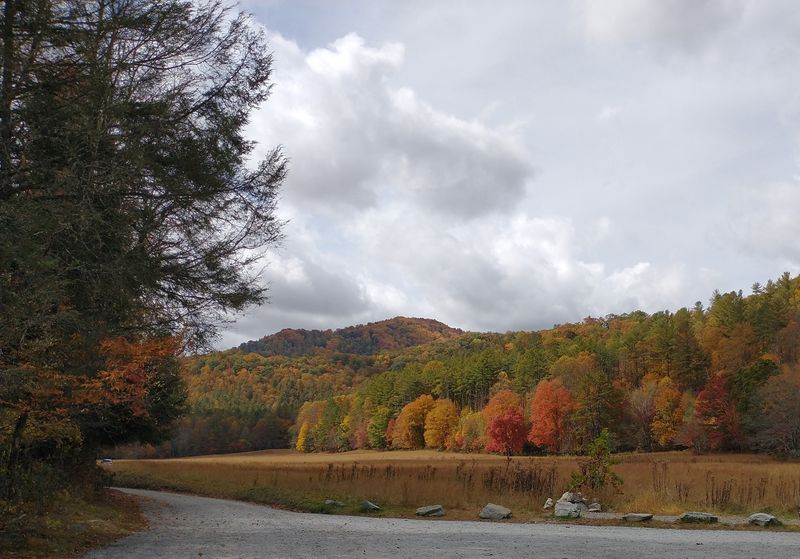 This North Carolina Ghost Town Is A Chilling Step Back In Time - Decor Hint Seasonal Transformations