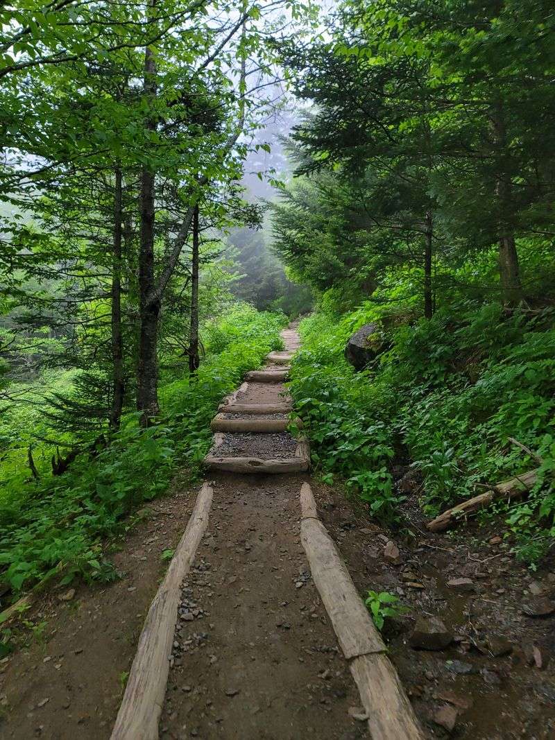 Trail Maintenance And Rehabilitation